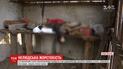 Измученных собак и котенка нашли в сельском доме в Ровенской области