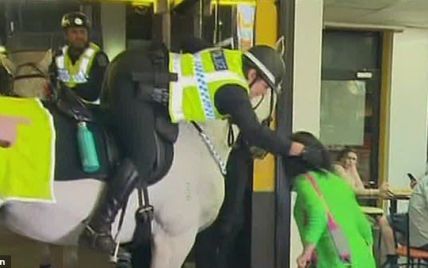 В Австралии засняли, как коп отомстил женщине за нападение на полицейского коня