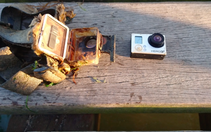 Загублена камера GoPro рік знімала життя на дні озера