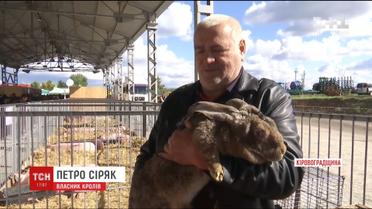 На Кировоградщине проходит крупнейшее украинское агро-пати