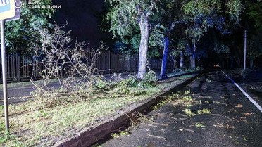 Негода на Харківщині_8 / © Управління ДСНС у Харківській області