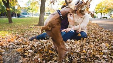 Собака казився перед камерою / © DNK photography