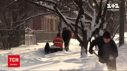 Новости Украины: во Львовской области коммунальщик оседлал коня, чтобы чистить тротуары от снега