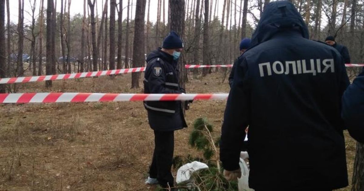 У Києві в лісосмузі знайшли немовля в пакеті