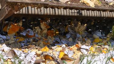 Сыр давили катком / © Znak.com