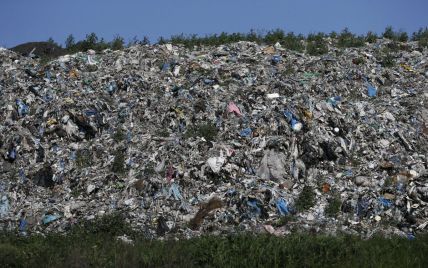 Львів'яни бояться тарганів і щурів через апокаліпсис на сміттєзвалищі