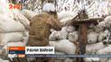 Штаб ООС повідомив про одного пораненого воїна – актуальне з фронту