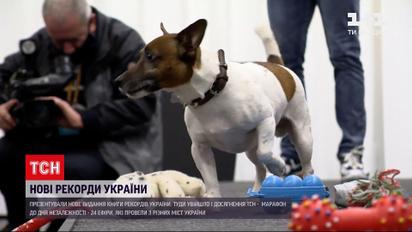 Якими найоригінальнішими рекордами запам'ятається цей рік | Новини України