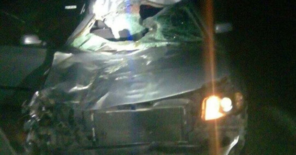 На Львівщині жінка на Volkswagen збила коня, постраждали двоє людей