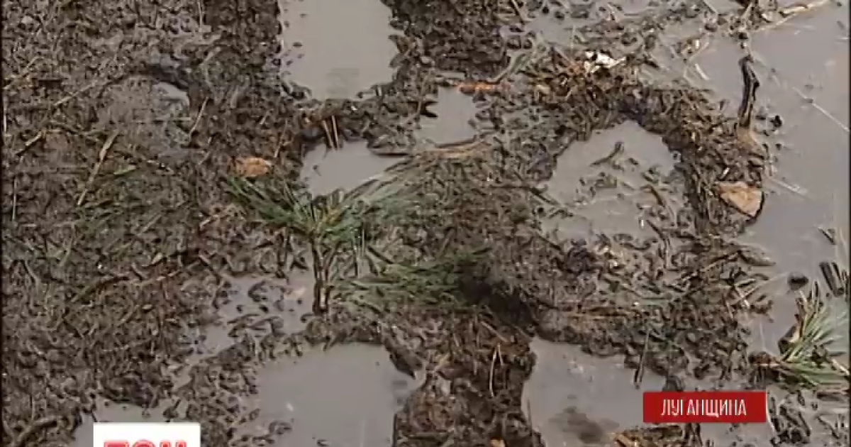 Негода тимчасово заспокоїла ситуацію в АТО