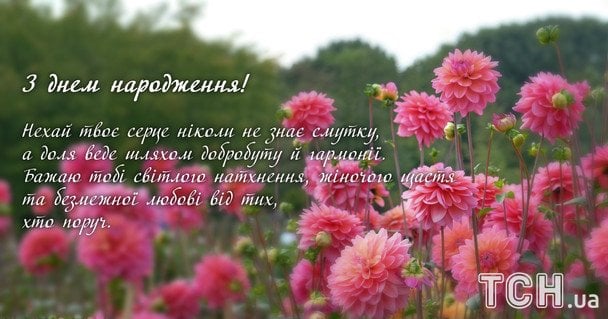 Привітання з Днем народження / © ТСН