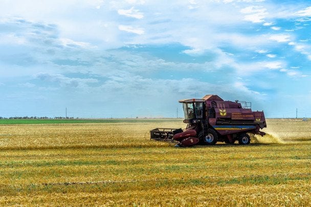 6 серпня в Україні святкують День вдячності працівникам сільського господарства / © pexels.com