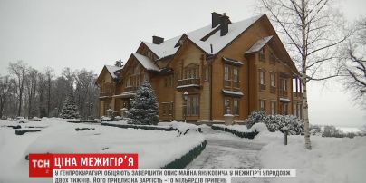 У Генпрокуратурі оцінили майно Януковича у Межигір'ї