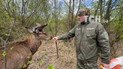 ЕКСКЛЮЗИВ ТСН: Ми знайшли оленя Бориса! Перші кадри! В якому він стані після ДТП?