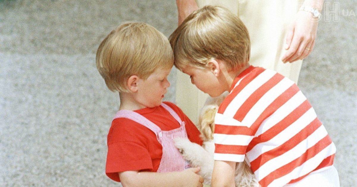 Принцы Гарри и Уильям