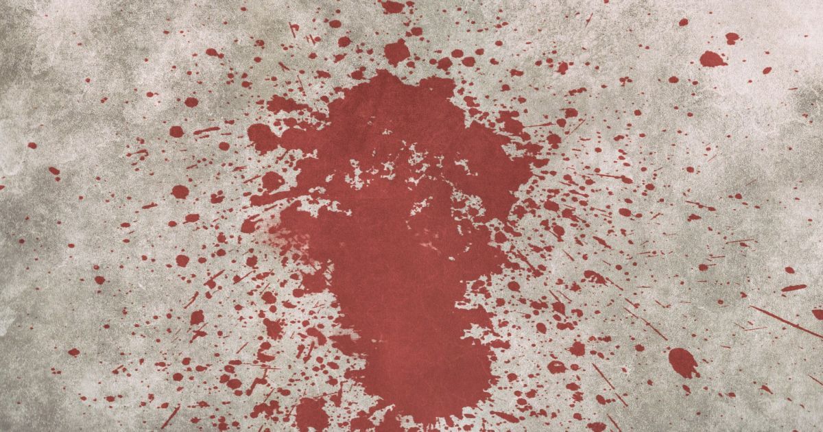 В Киеве бывший муж жестоко зарезал 23-летнюю девушку на глазах ее матери