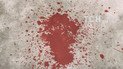 В Киеве бывший муж жестоко зарезал 23-летнюю девушку на глазах ее матери