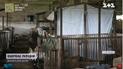 Lived in Pig Shed and Robbed People: How Did Invaders Behave in Liubymivka, Kherson Region