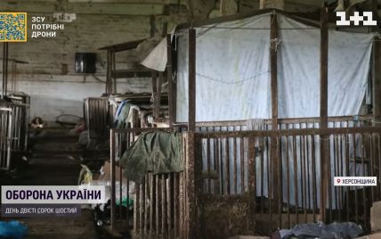 Жили у свинарнику та обкрадали людей: як поводились окупанти у селі Любимівка на Херсонщині