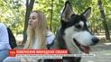 Похищенную в Киеве собаку нашли в 30 километрах от дома