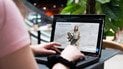 ASUS представляє в Україні Zenbook DUO (UX8407) — ноутбук із двома OLED-екранами для ефективної роботи зі штучним інтелектом