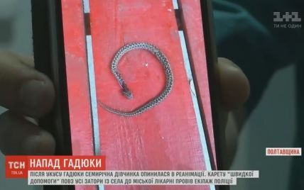 Після укусу гадюки в реанімації опинилась 7-річна дівчинка з  Кременчука