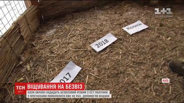Віщування на безвіз: кури, горила та бабак вказали рік відкриття кордону