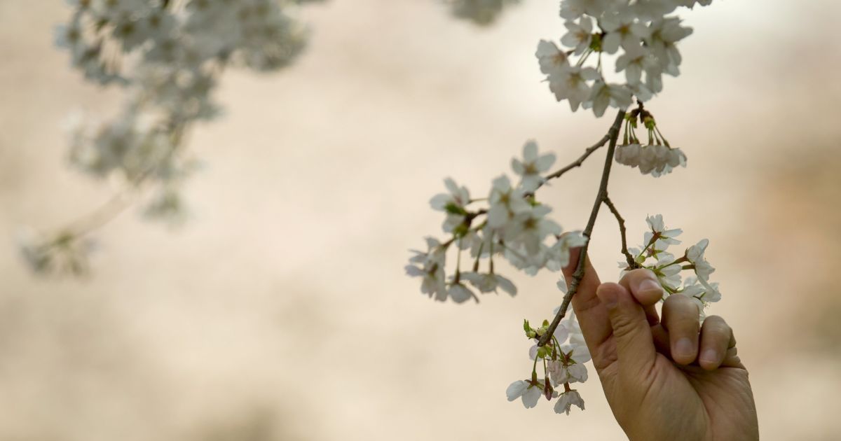 Дни Духовного роста в апреле 2015-го года