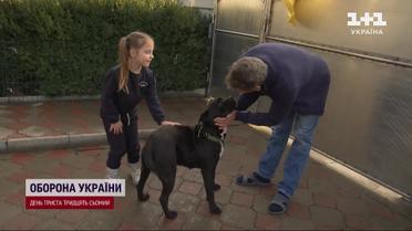 Тронули до слез: пес потерял хозяина на фронте, но нашел убежище в его семье