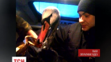 Львовские полицейские спасли от смерти белого лебедя