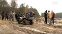 Лісоруби-нелегали і бурштинокопаці руйнують ліси: чи посилили охорону у лісництвах