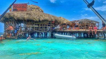 Бар Ямайка_12