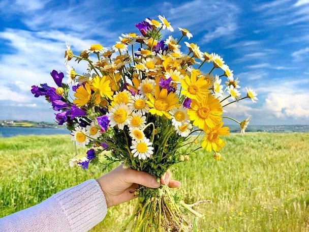 День ангела 3 липня — душевні привітання в прозі / © unsplash.com