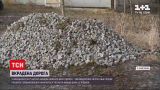 Новини світу: у Німеччині невідомі викрали 60 тон гранітного каменю для прокладання дороги