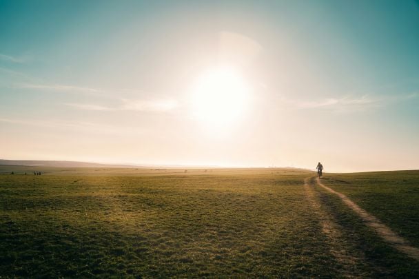 20 березня в Україні і світі святкують День весняного рівнодення / © Unsplash