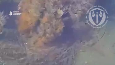 Разведчики уничтожили российскую пушечную позицию на Запорожском направлении