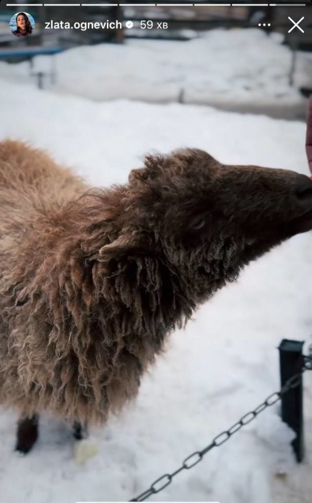 Злата Огневич с семьей / © instagram.com/zlata.ognevich