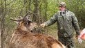 ГЛЯНЬТЕ, де зараз ОЛЕНЬ БОРИС, якого шукала ВСЯ КРАЇНА! Уже ПЕРЕБИРАЄ ХАРЧАМИ!