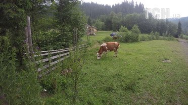 похід у гори для блогів_17 / © фото: Валентина Ластовка
