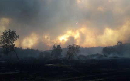 Пожары в Харьковской и Луганской областях: огонь удалось остановить, тушение очагов тления продолжается