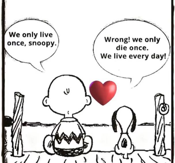  / © instagram.com/theshando