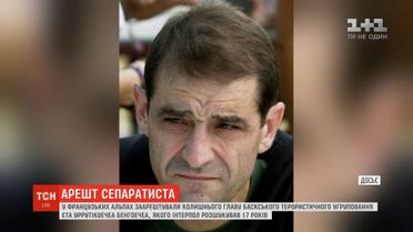 У Альпах заарештували лідера баскського терористичного угруповання ЕТА