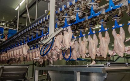 Украина стала четвертой в мире по экспорту курятины