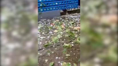 Под Одессой выпал град размером с орех