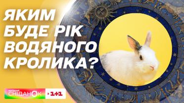Китайський гороскоп на 2023 рік: яким буде для вас рік Кролика