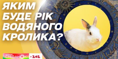 Китайський гороскоп на 2023 рік: яким буде для вас рік Кролика