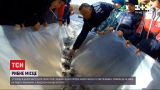 Новини України: у Києві в Дніпро випустили 40 тисяч рибин