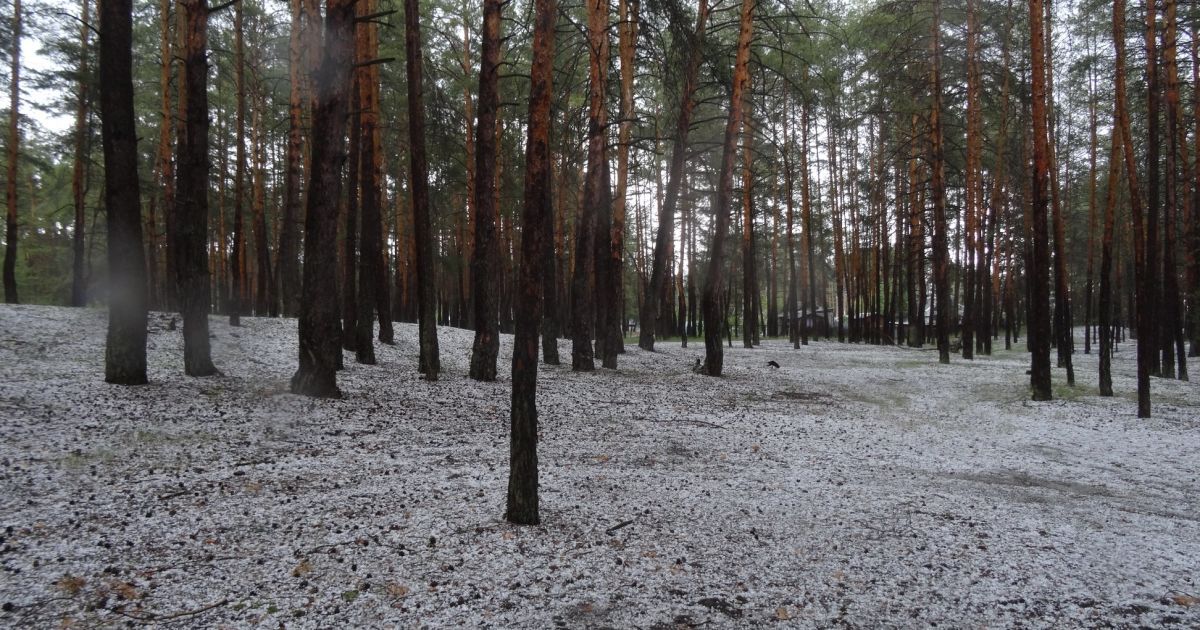 град у Донецькій області_3 / © Олександр Беліменко / Facebook