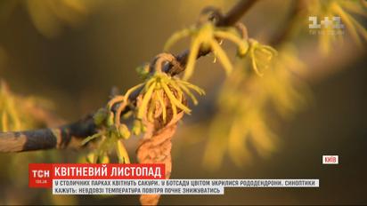 Календарна зима на носі, а тепло не відступає: коли чекати похолодання