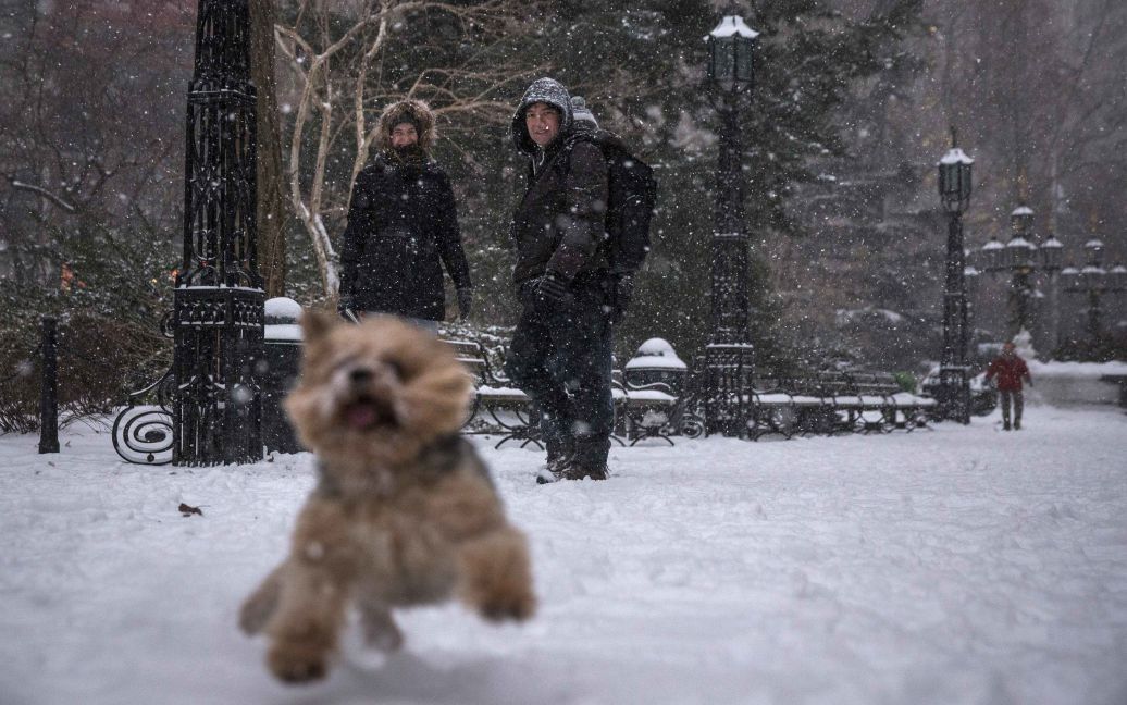 У Нью-Йорк прийшла справжня зима / © Reuters